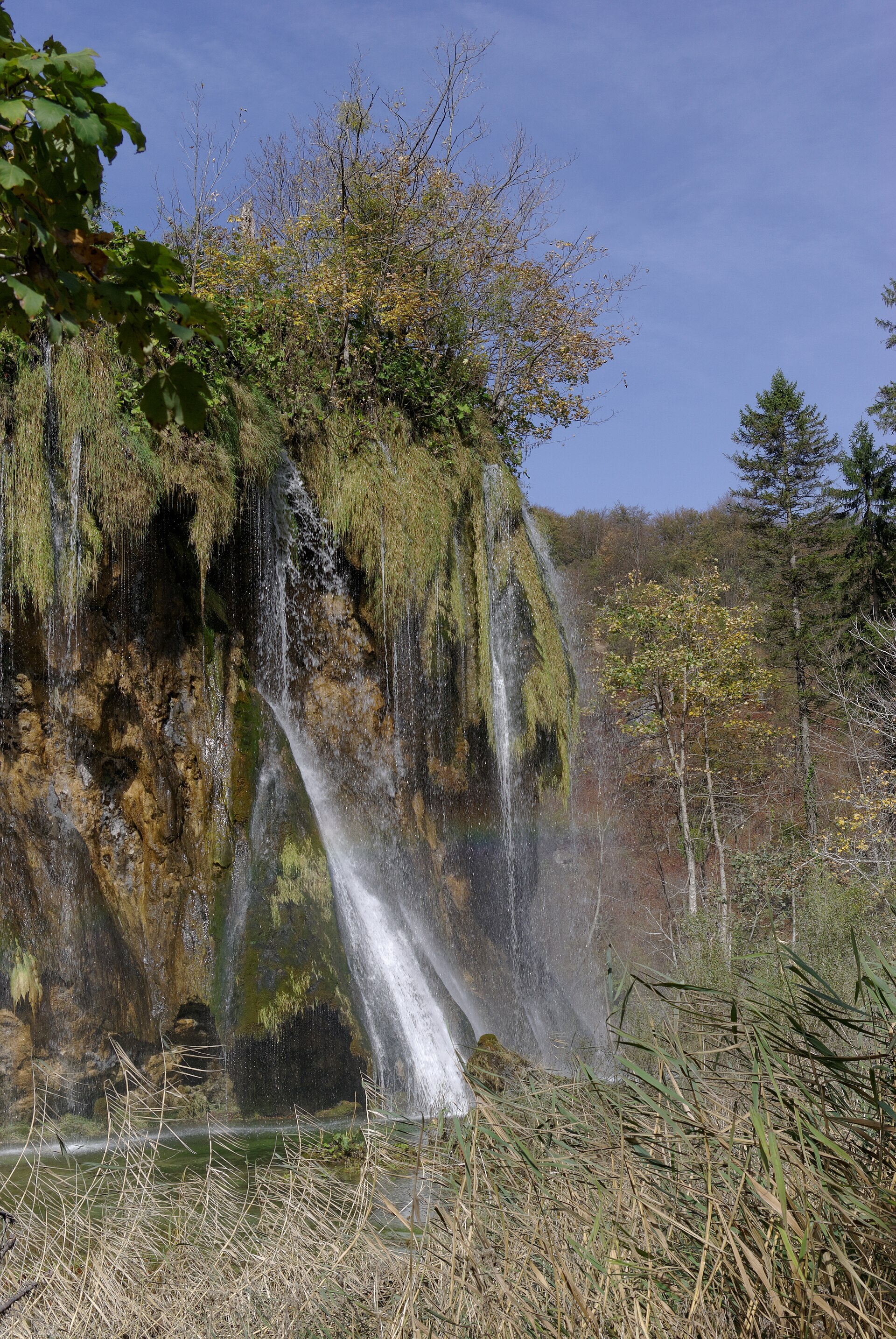 Enjoy Balkan